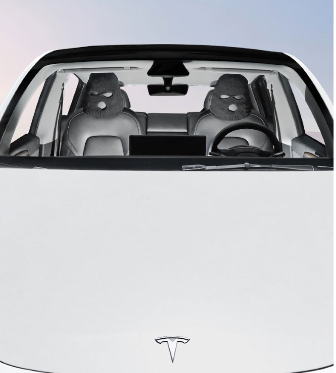 Tesla Headrest Seat Cover