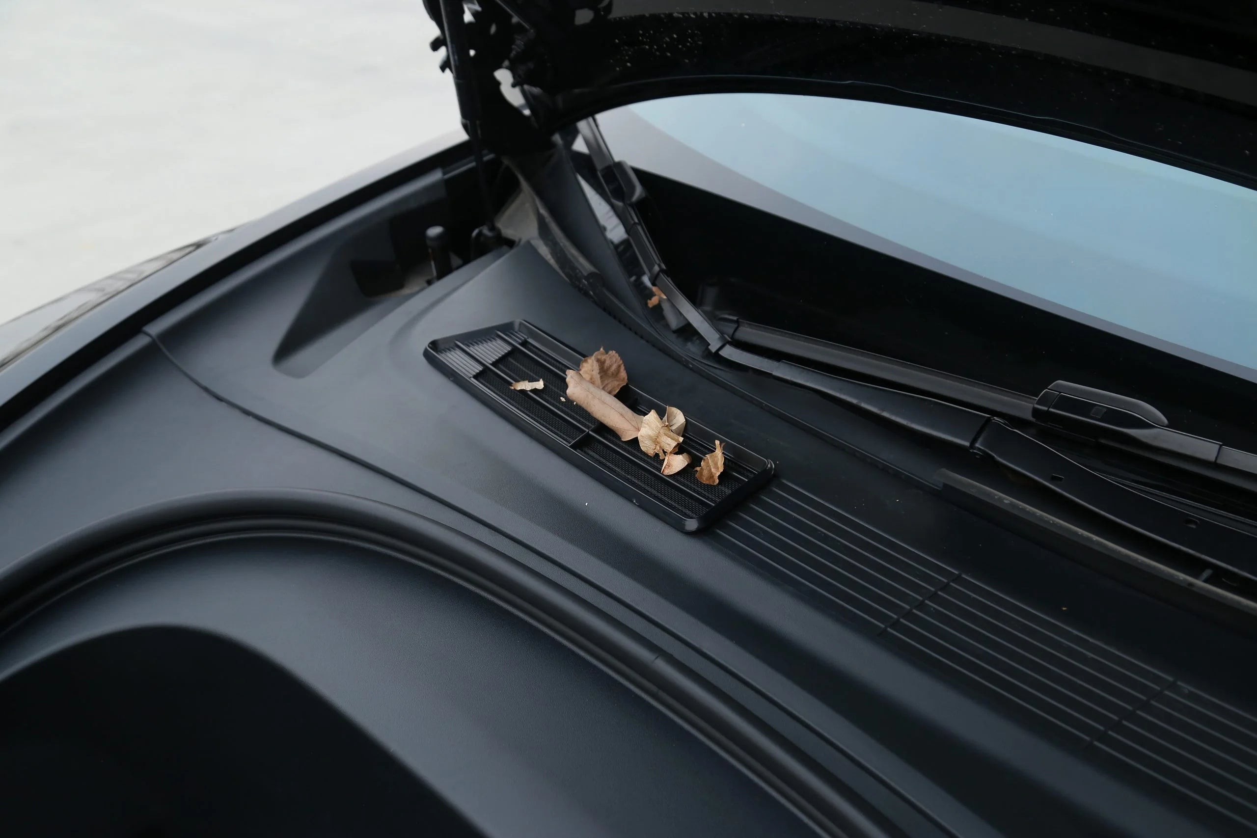 Bonnet Air Inlet Mesh Shield (Model 3 Highland)