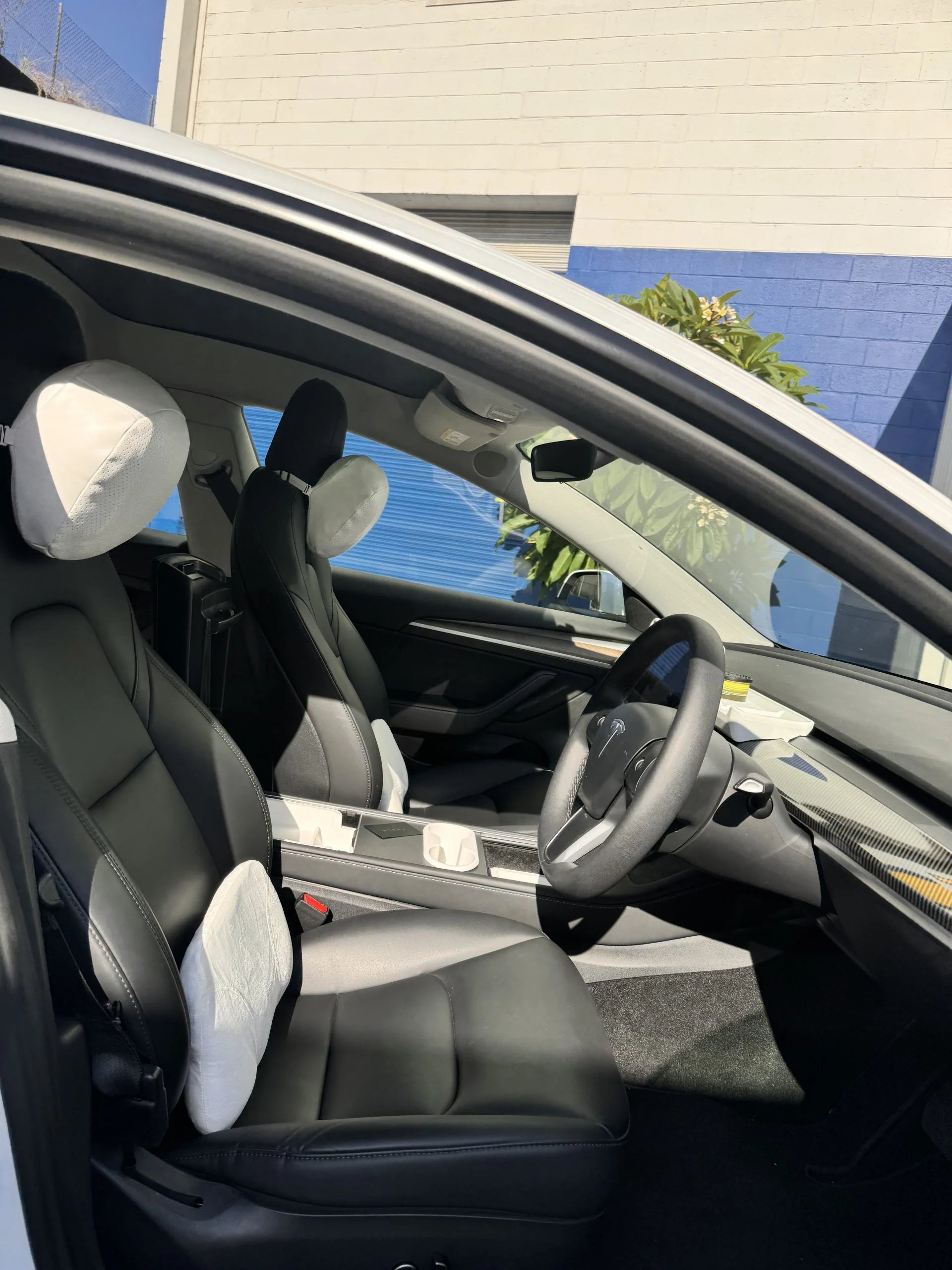 Neck and Lumbar Pillow Set (Leather)