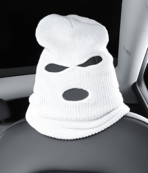 Tesla Headrest Seat Cover